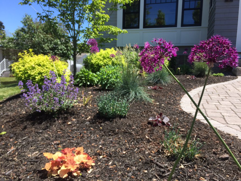 Chase Construction - office building - Ramsdell Landscaping, Wells Maine
